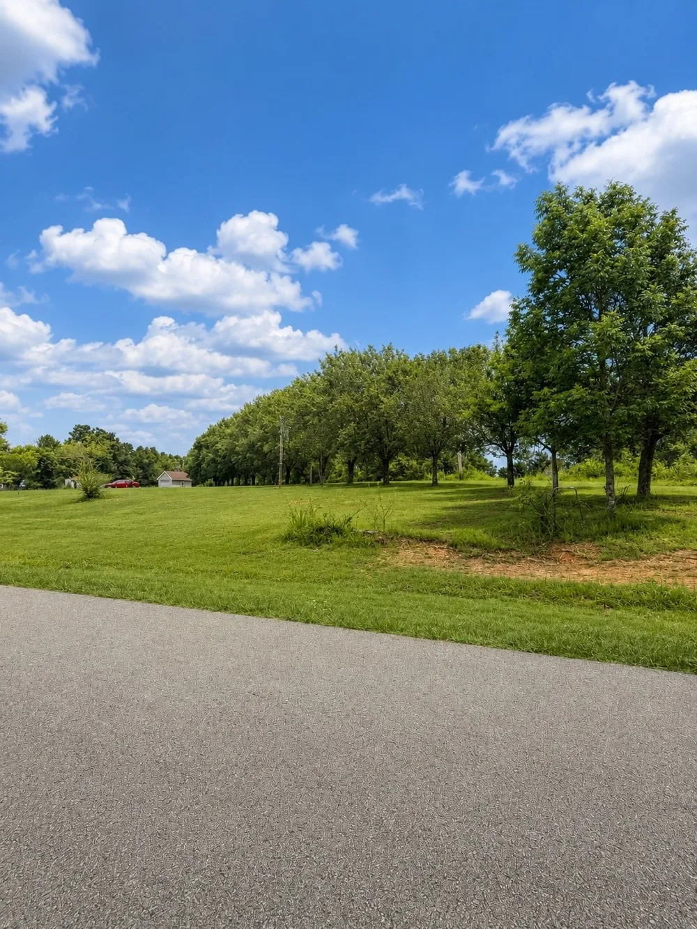 118 Steeplechase Dr Smithville, TN 37166