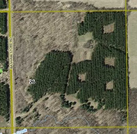 XXX Bashaw Store Rd Shell Lake, WI 54871