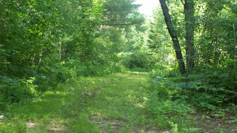 XXX Bashaw Store Rd Shell Lake, WI 54871