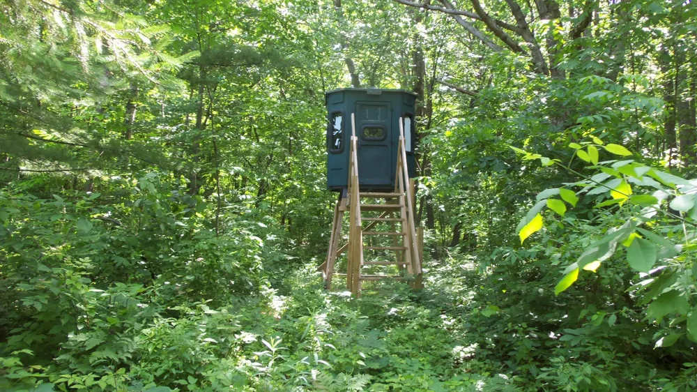 XXX Bashaw Store Rd Shell Lake, WI 54871