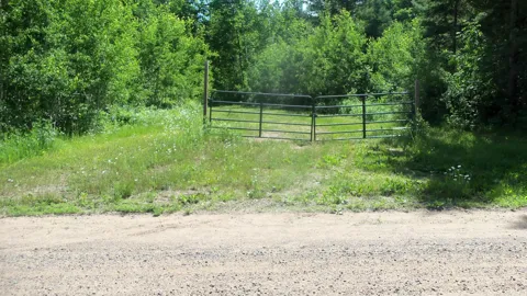 XXX Bashaw Store Rd