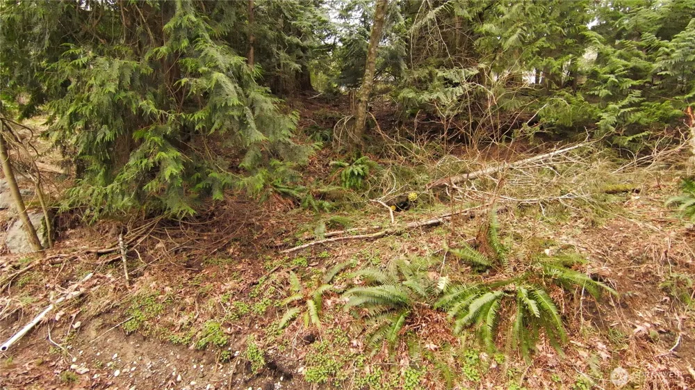 0 Summerset Sedro Woolley, WA 98284