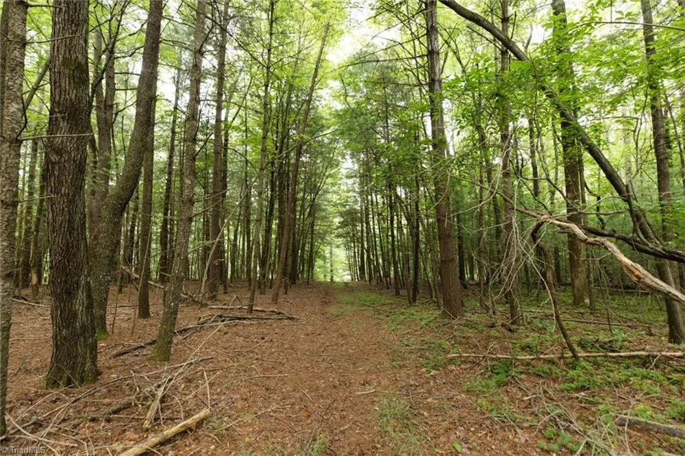 TBD Mcintosh Drive Lowgap, NC 27024