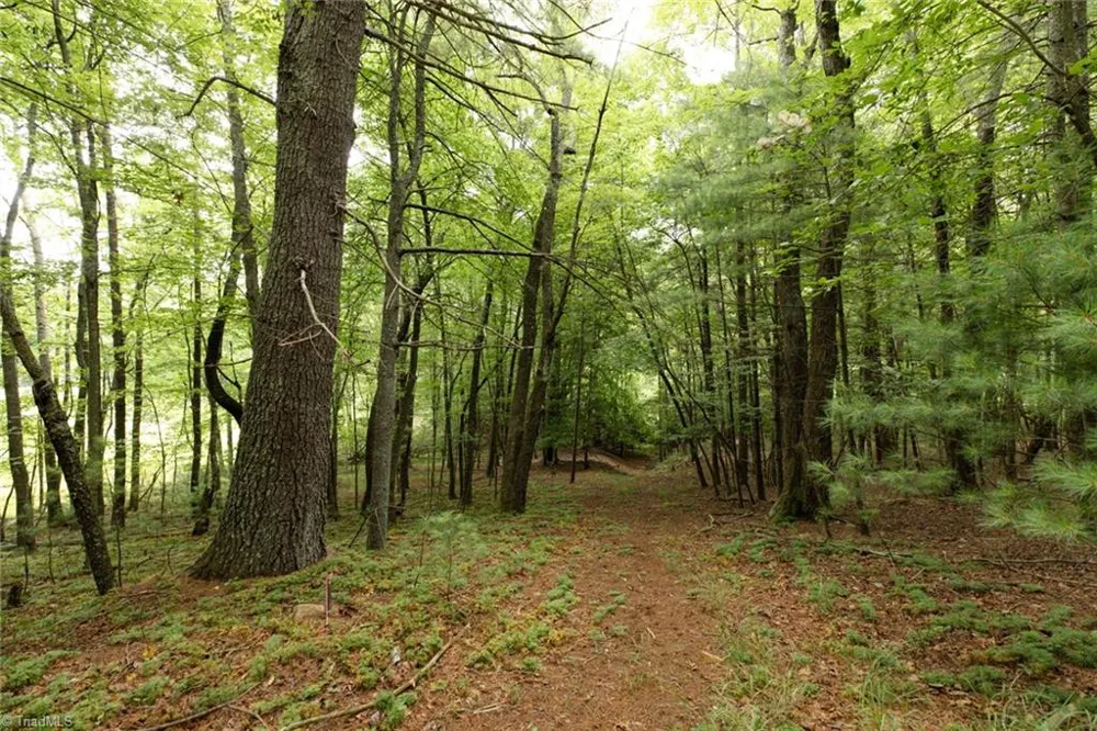 TBD Mcintosh Drive Lowgap, NC 27024