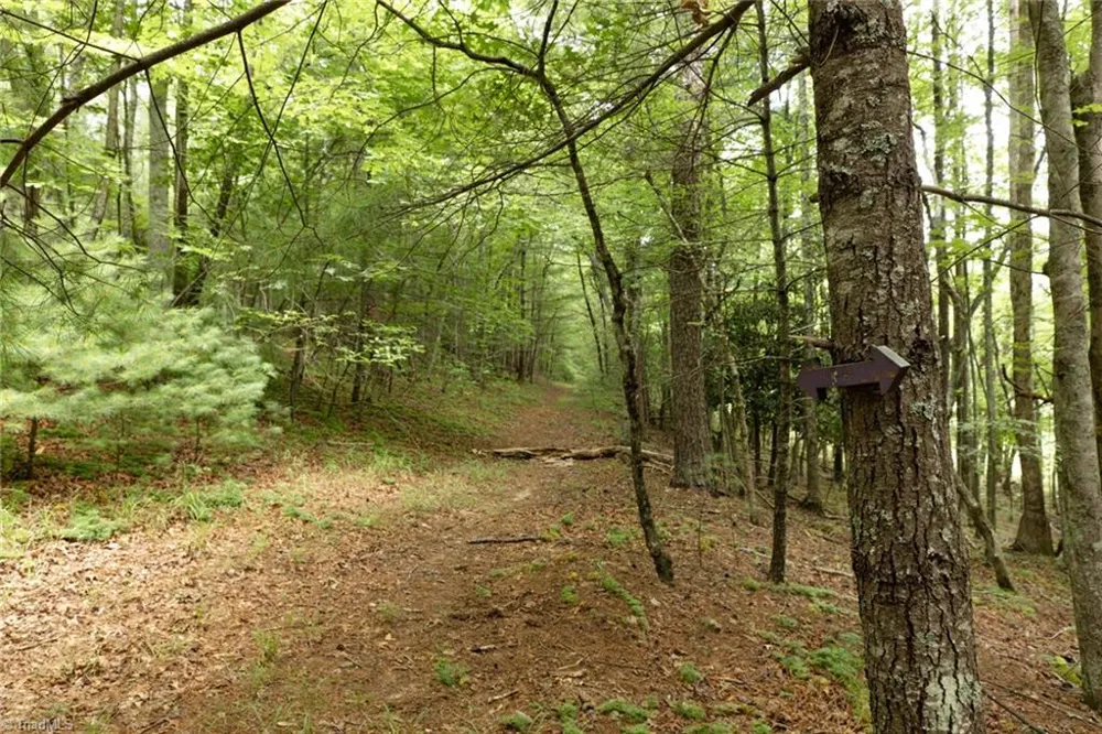 TBD Mcintosh Drive Lowgap, NC 27024