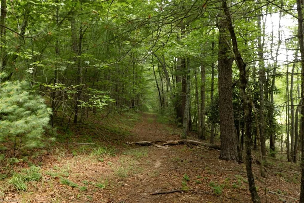 TBD Mcintosh Drive Lowgap, NC 27024