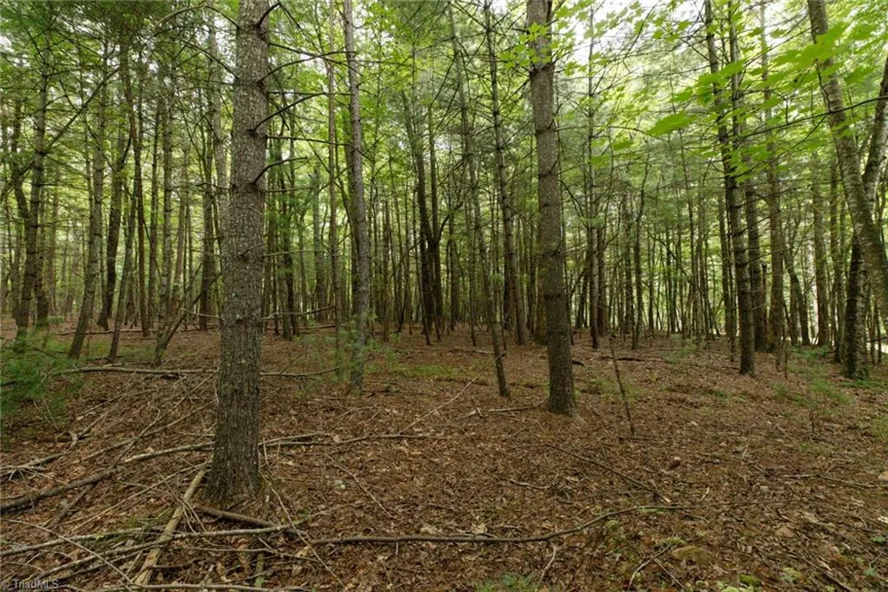 TBD Mcintosh Drive Lowgap, NC 27024