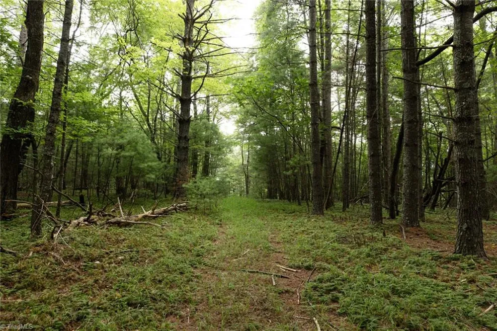 TBD Mcintosh Drive Lowgap, NC 27024