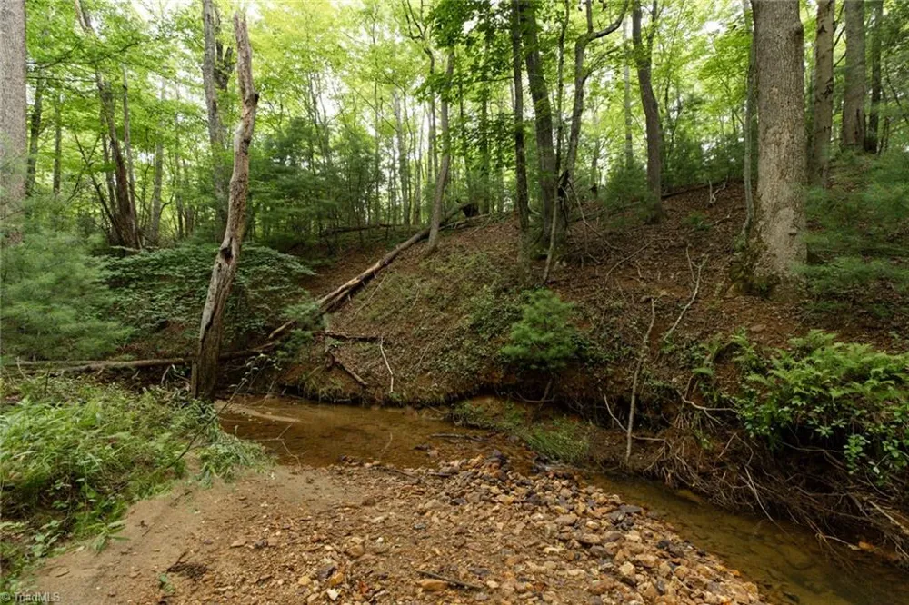 TBD Mcintosh Drive Lowgap, NC 27024