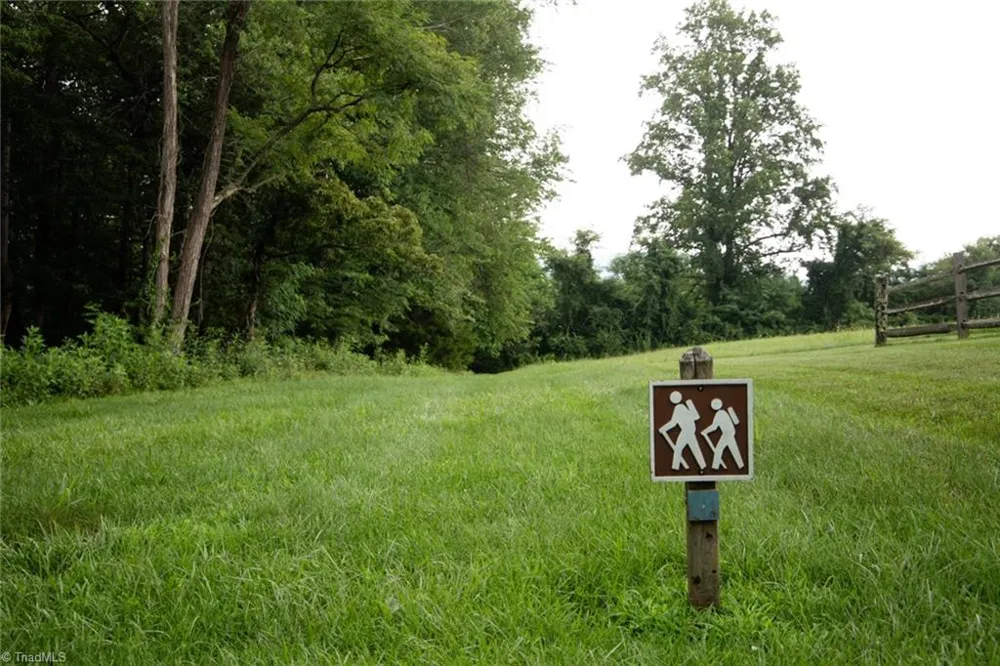 TBD Mcintosh Drive Lowgap, NC 27024