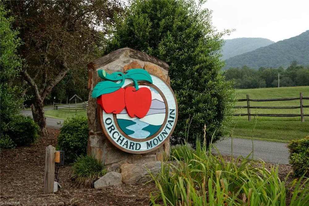 TBD Mcintosh Drive Lowgap, NC 27024