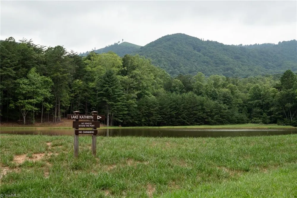 TBD Mcintosh Drive Lowgap, NC 27024