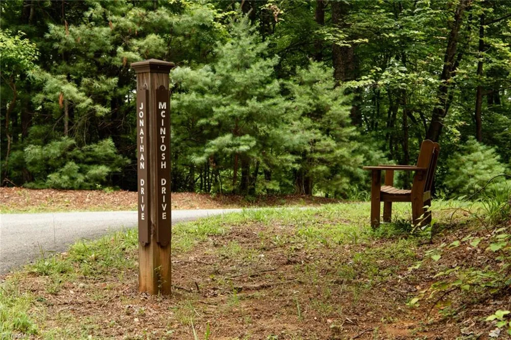 TBD Mcintosh Drive Lowgap, NC 27024