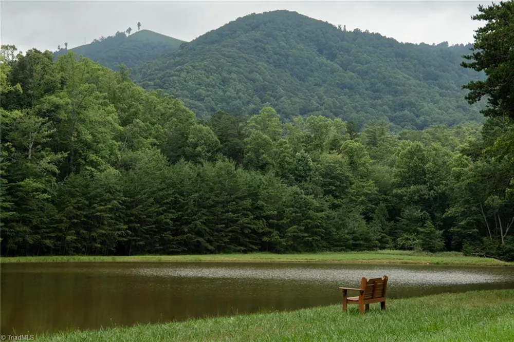 TBD Mcintosh Drive Lowgap, NC 27024