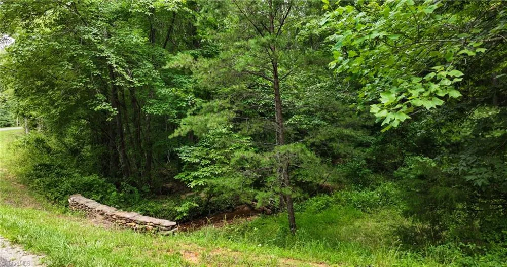 TBD Mcintosh Drive Lowgap, NC 27024