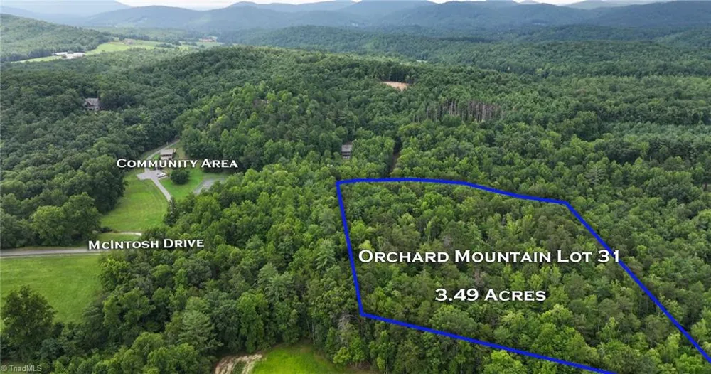 TBD Mcintosh Drive Lowgap, NC 27024