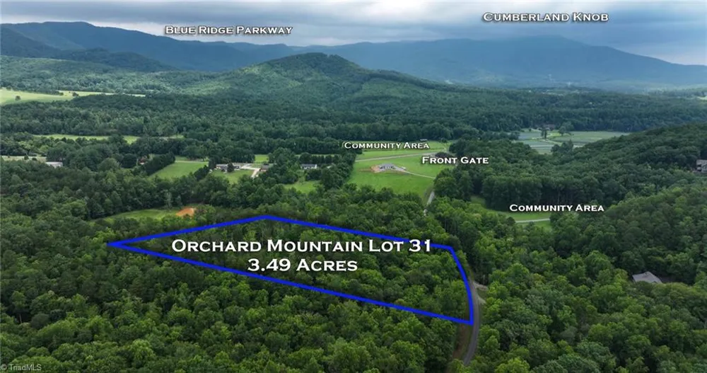 TBD Mcintosh Drive Lowgap, NC 27024