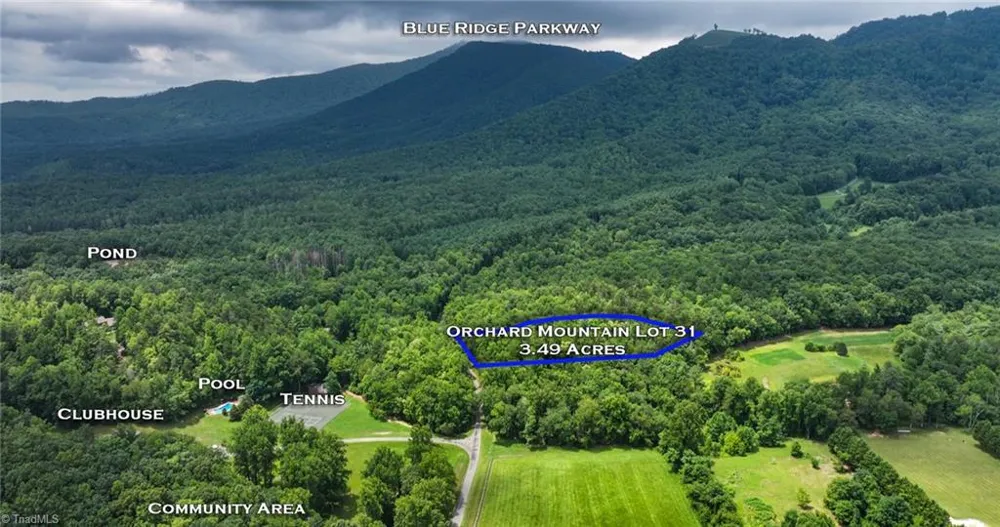 TBD Mcintosh Drive Lowgap, NC 27024