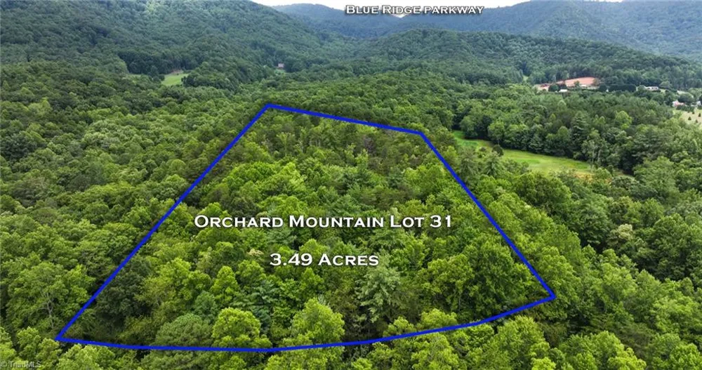 TBD Mcintosh Drive Lowgap, NC 27024
