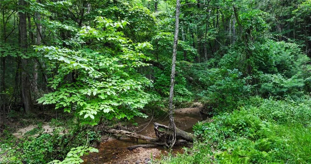TBD Mcintosh Drive Lowgap, NC 27024