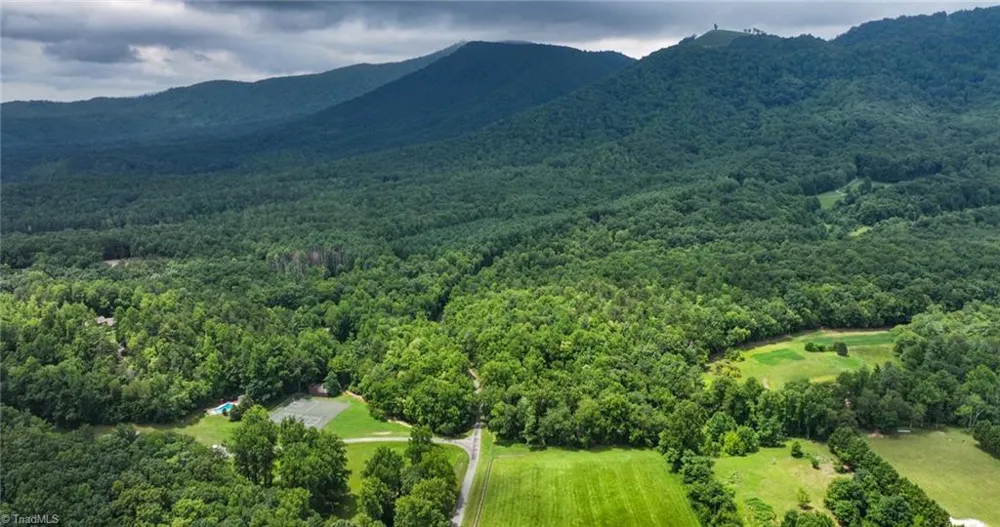 TBD Mcintosh Drive Lowgap, NC 27024