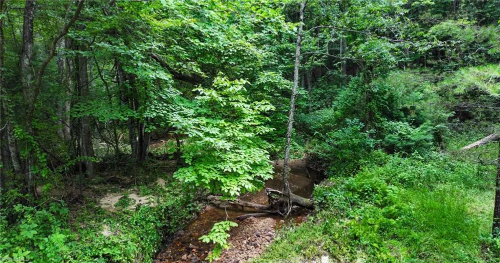 TBD Mcintosh Drive Lowgap, NC 27024