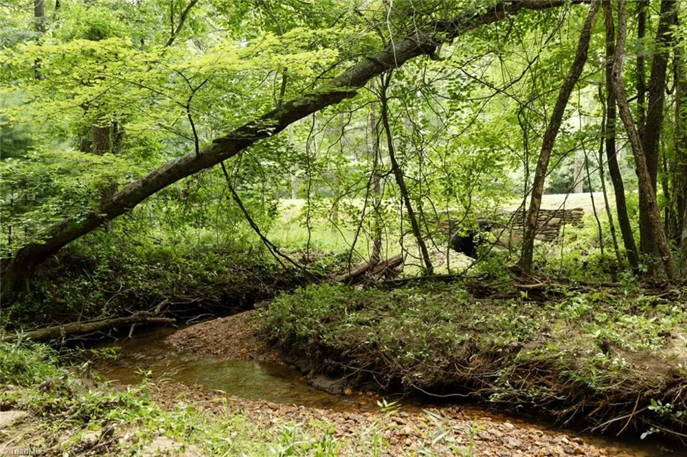 TBD Mcintosh Drive Lowgap, NC 27024