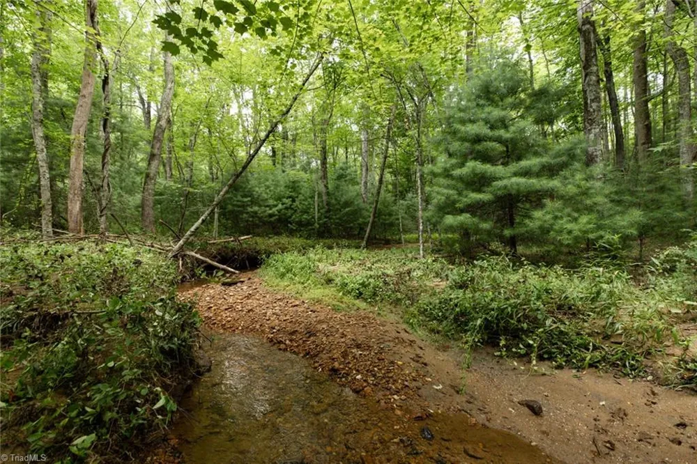 TBD Mcintosh Drive Lowgap, NC 27024