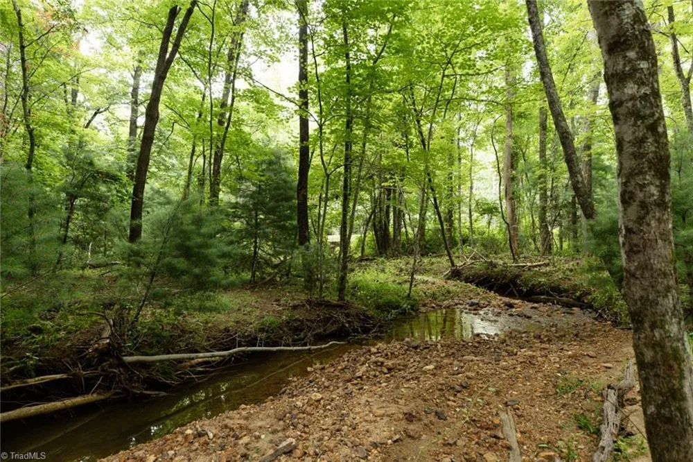 TBD Mcintosh Drive Lowgap, NC 27024