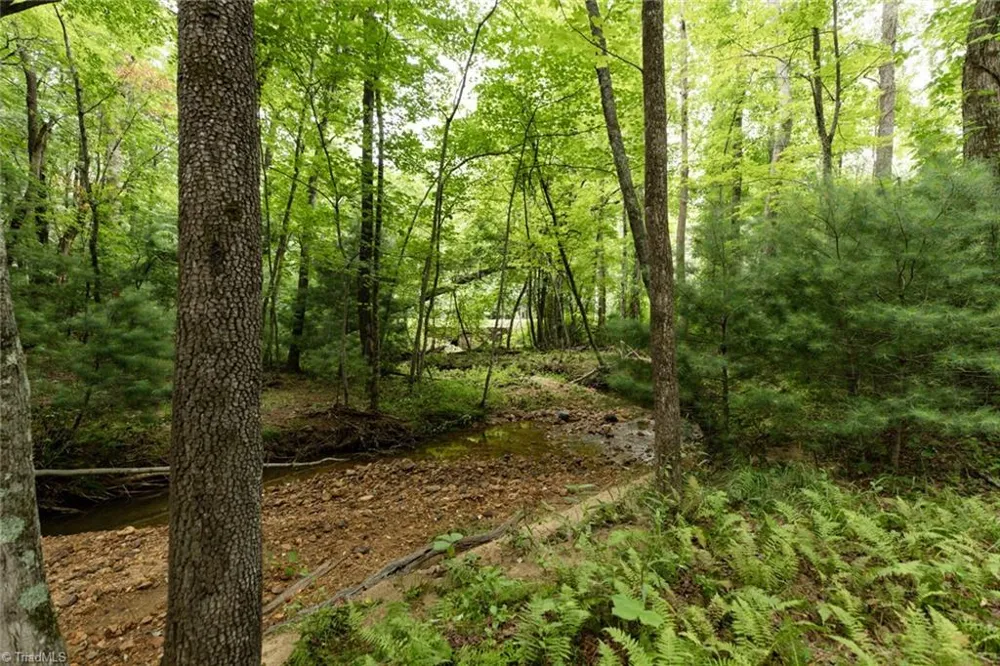 TBD Mcintosh Drive Lowgap, NC 27024