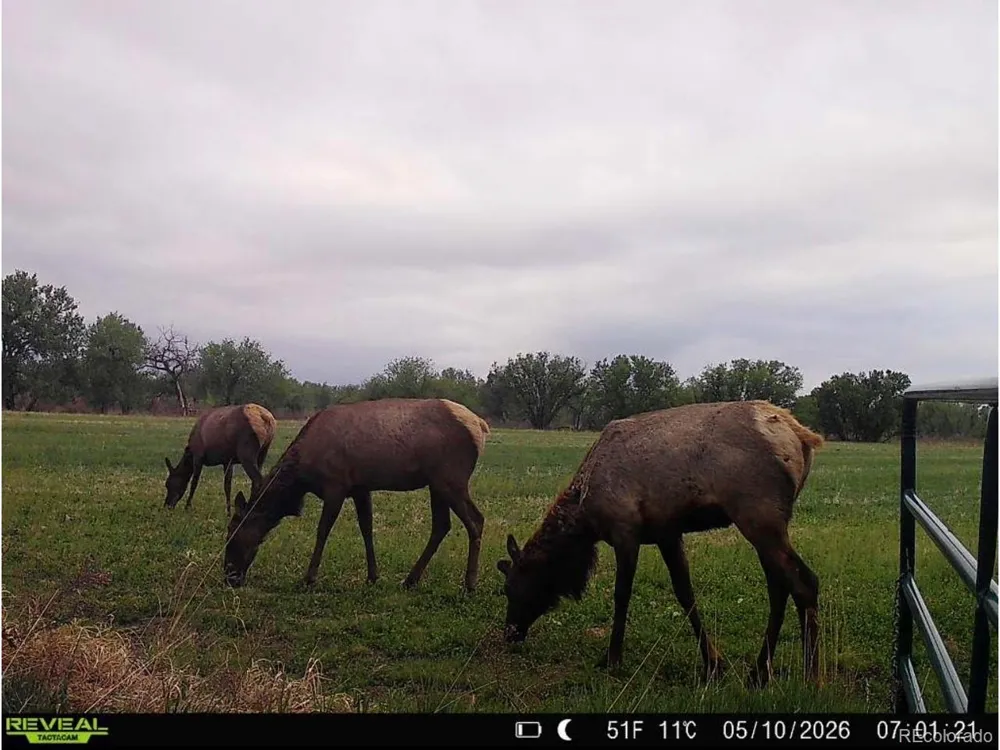 0 Daniel Rd Pueblo, CO 81006
