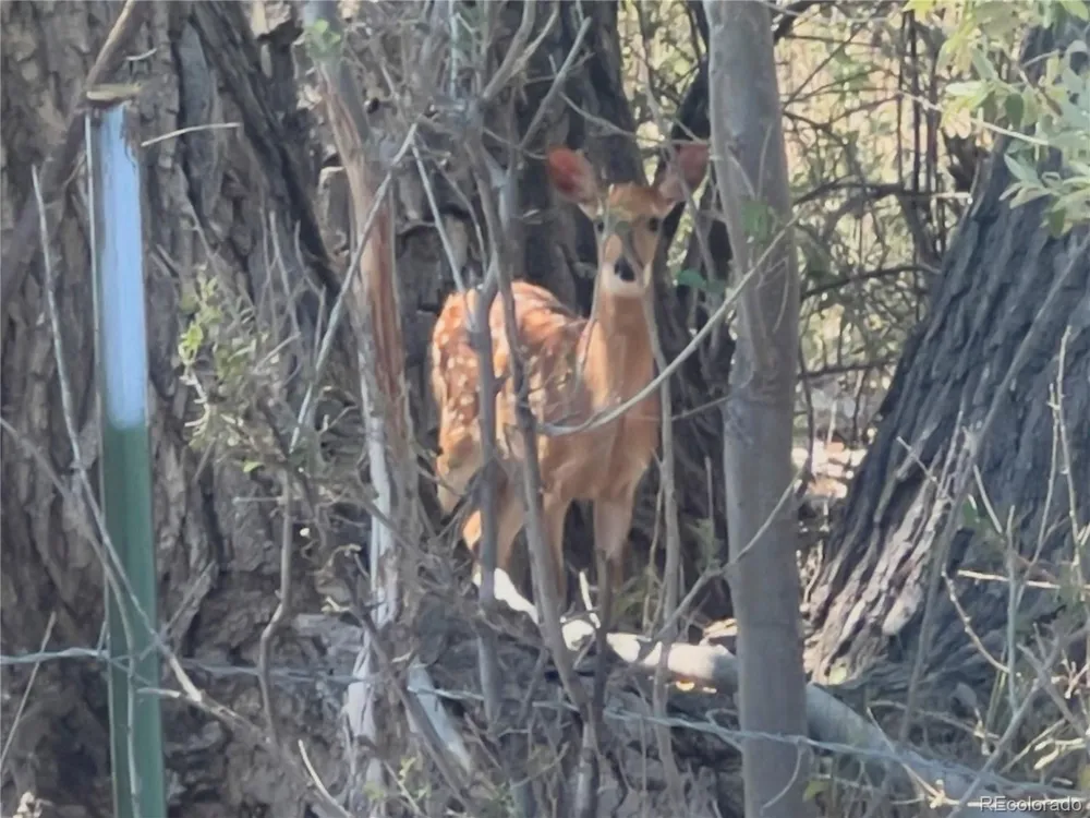 0 Daniel Rd Pueblo, CO 81006