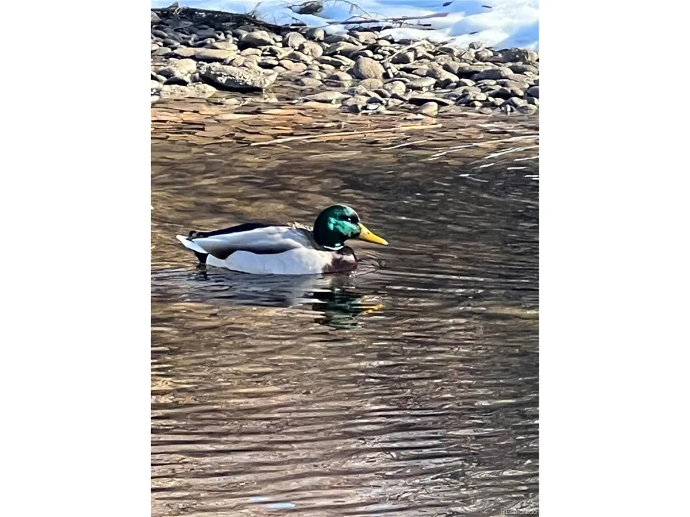 0 Daniel Rd Pueblo, CO 81006