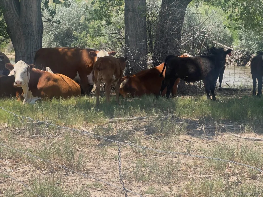 0 Daniel Rd Pueblo, CO 81006