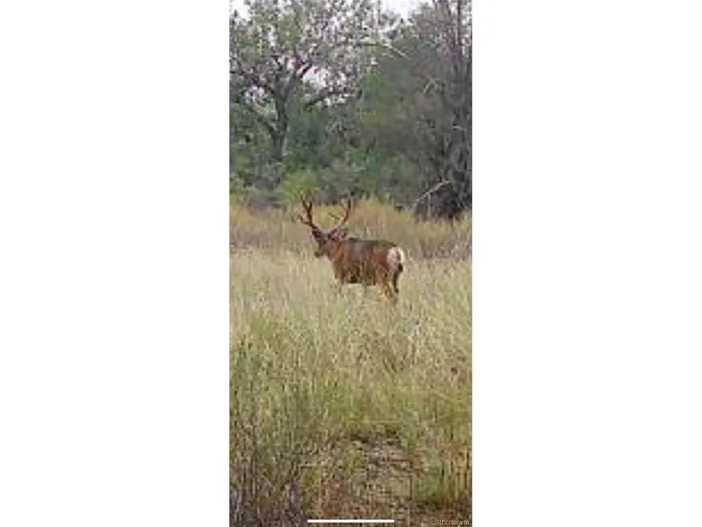 0 Daniel Rd Pueblo, CO 81006