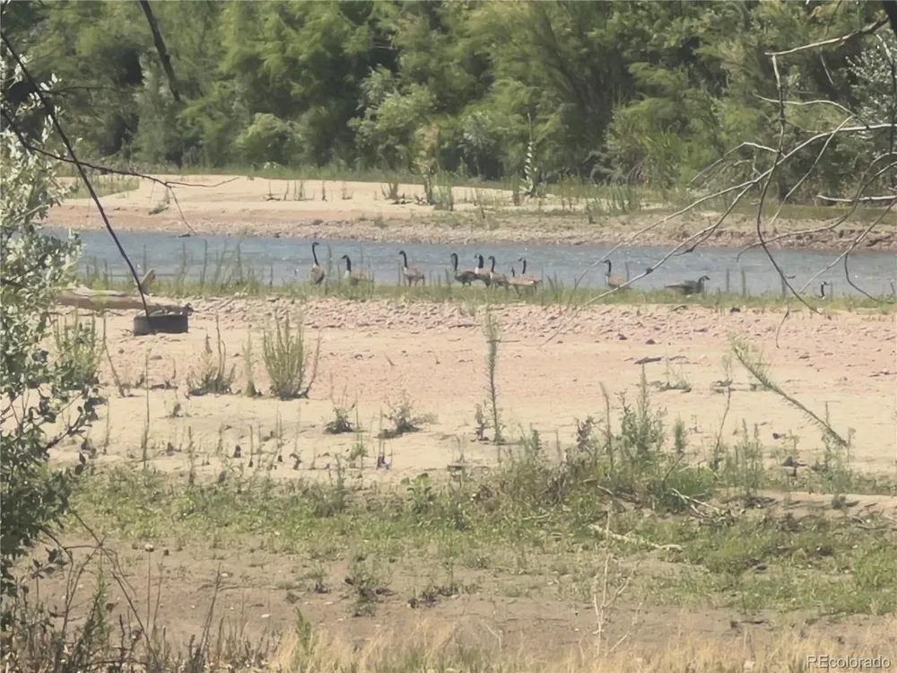 0 Daniel Rd Pueblo, CO 81006