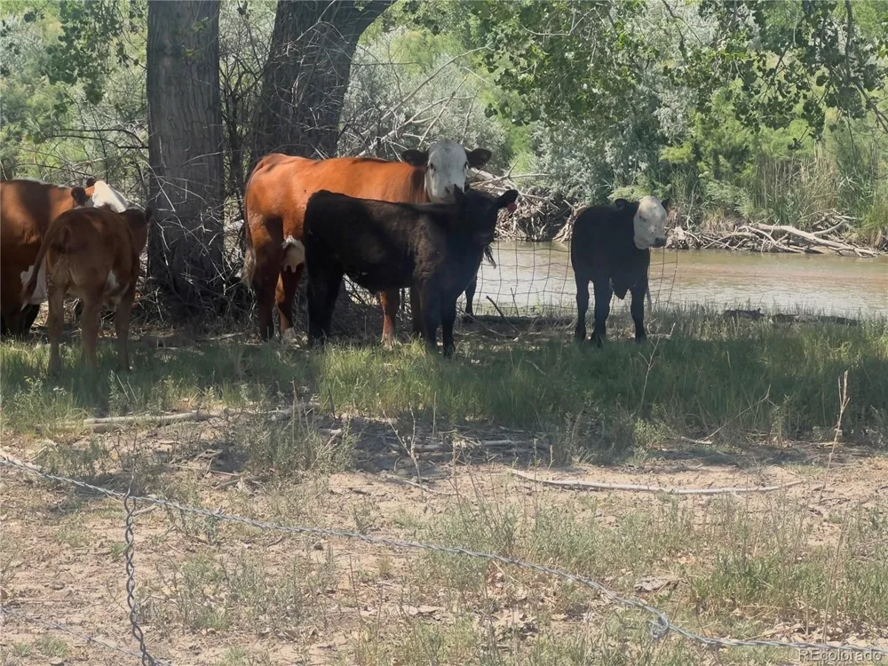 0 Daniel Rd Pueblo, CO 81006