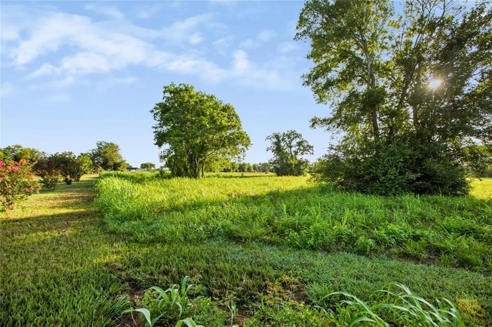 Penny Ln Santa Fe, TX 77510