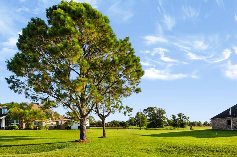 Penny Ln Santa Fe, TX 77510
