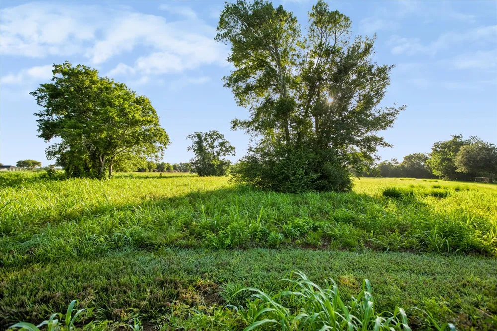 Penny Ln Santa Fe, TX 77510
