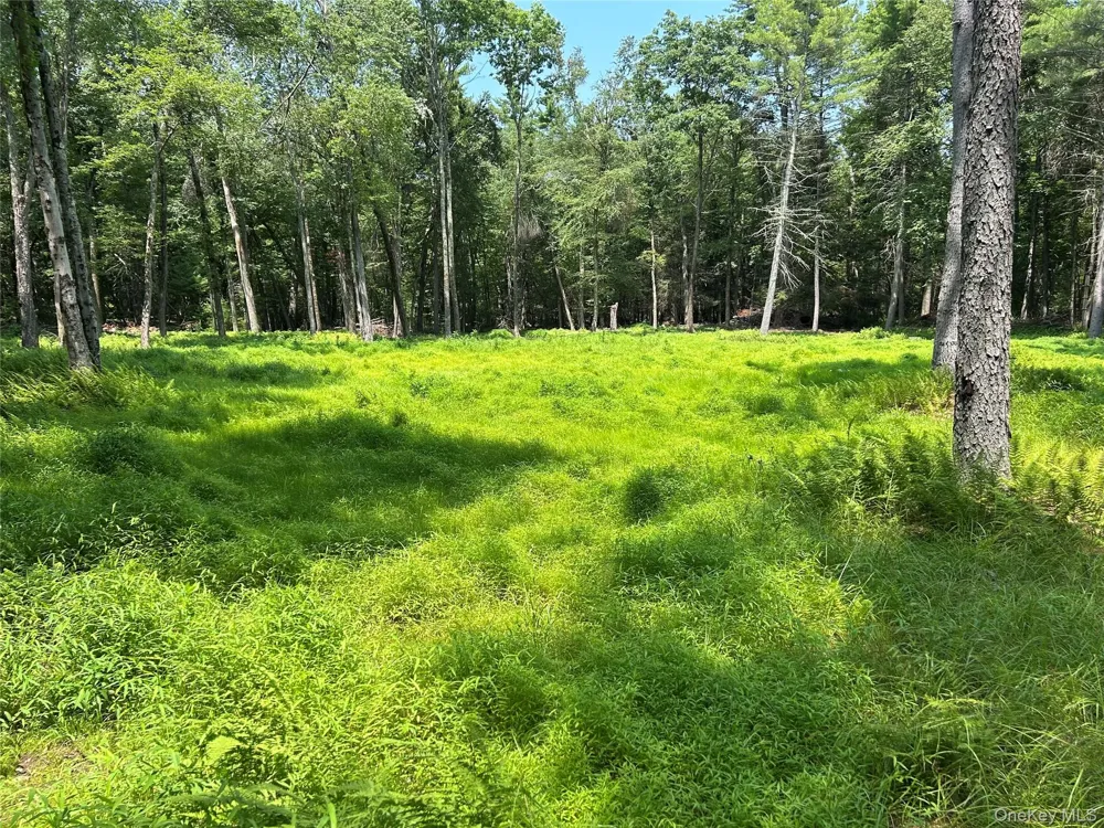 Geba Drive Glen Spey, NY 12737