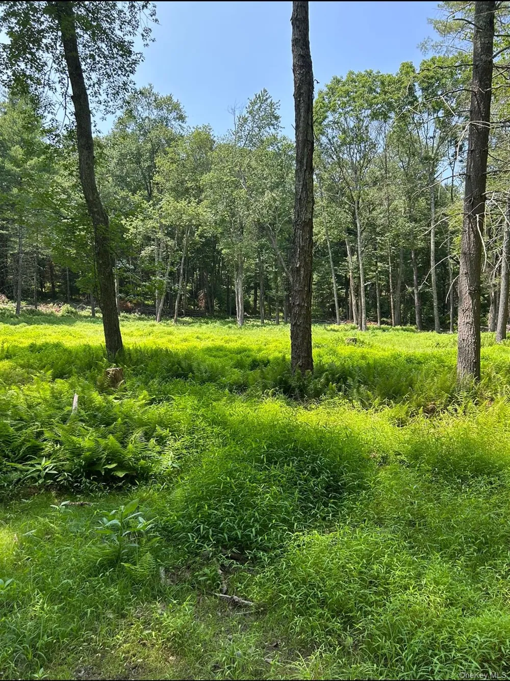 Geba Drive Glen Spey, NY 12737