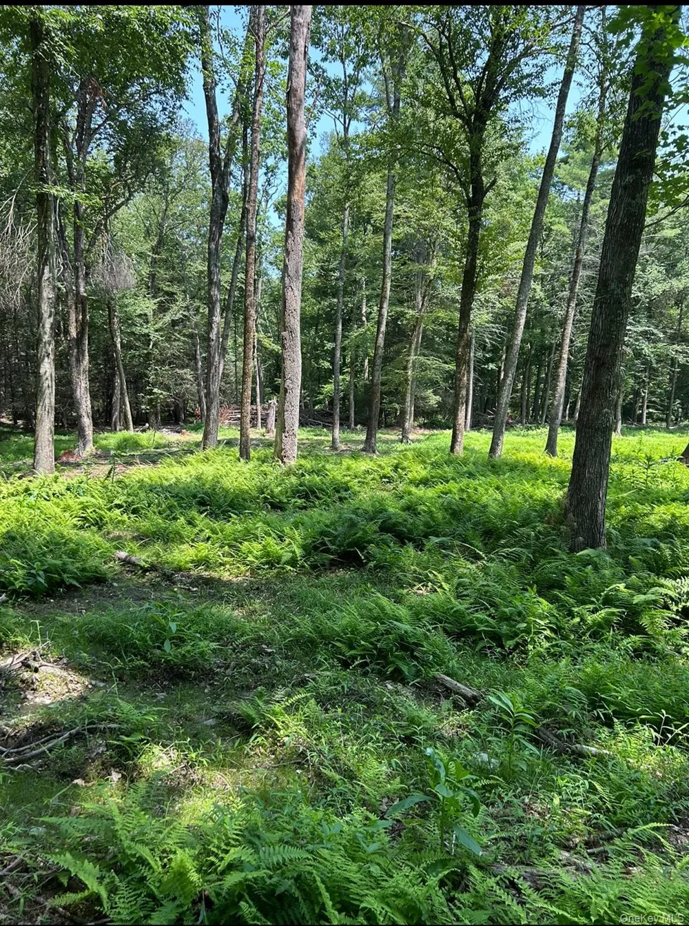 Geba Drive Glen Spey, NY 12737