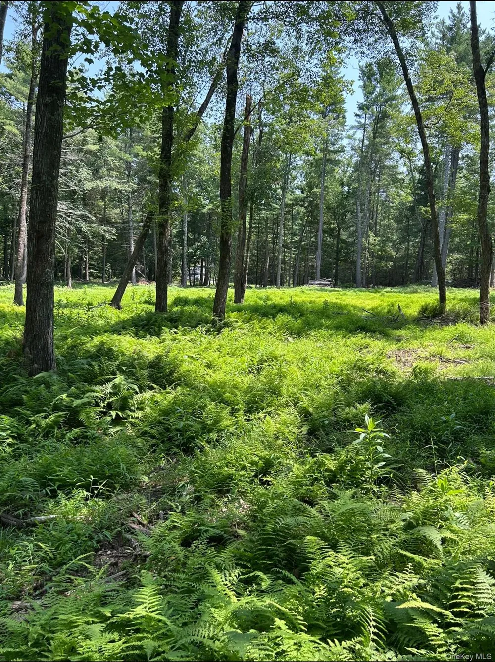 Geba Drive Glen Spey, NY 12737