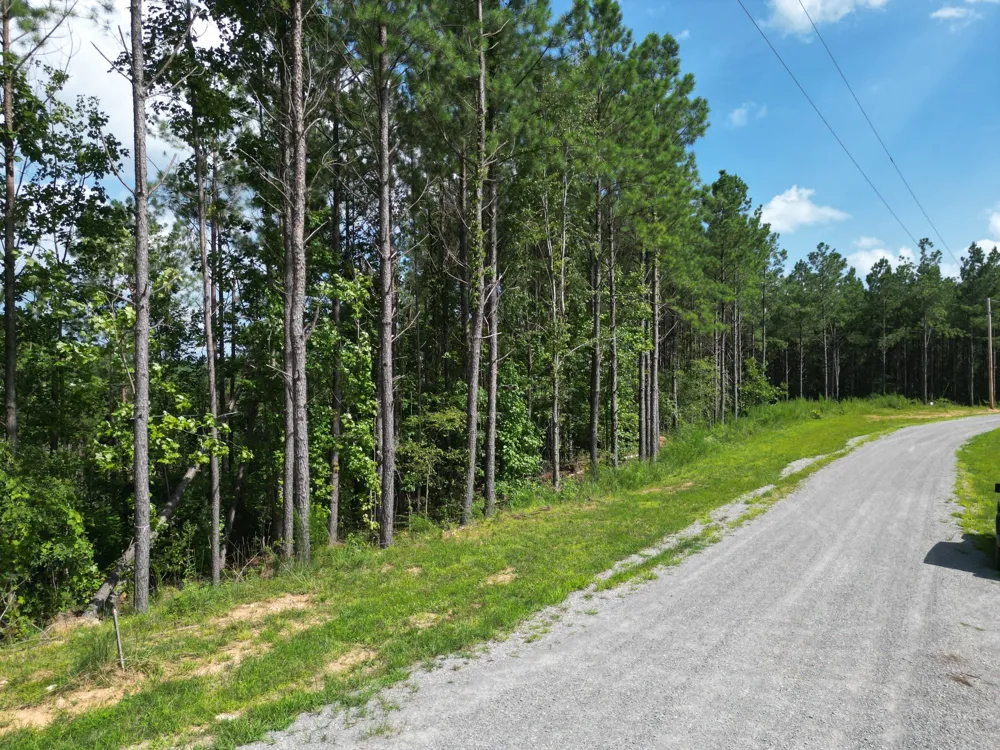 153 Beach Rd Hohenwald, TN 38462
