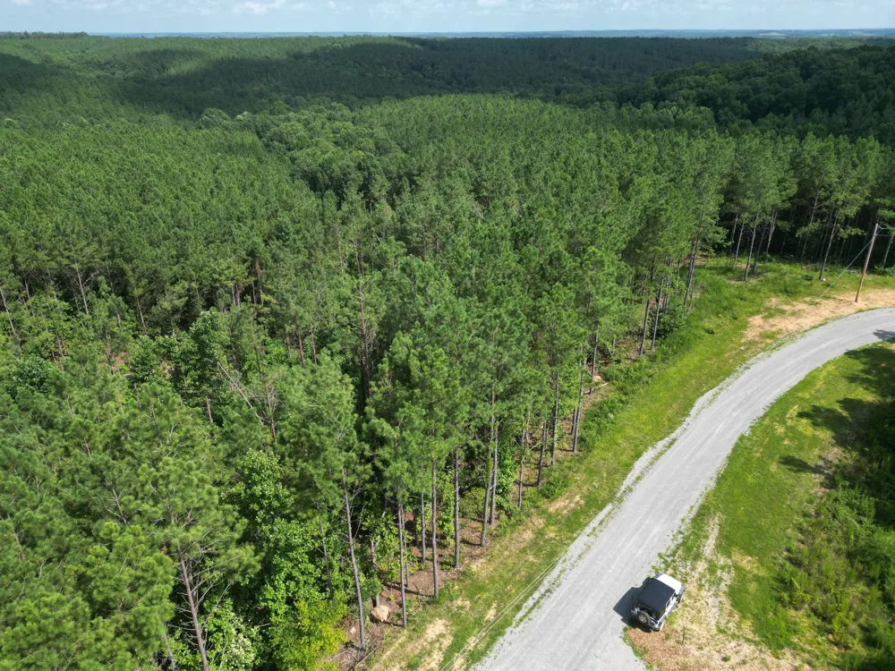 153 Beach Rd Hohenwald, TN 38462