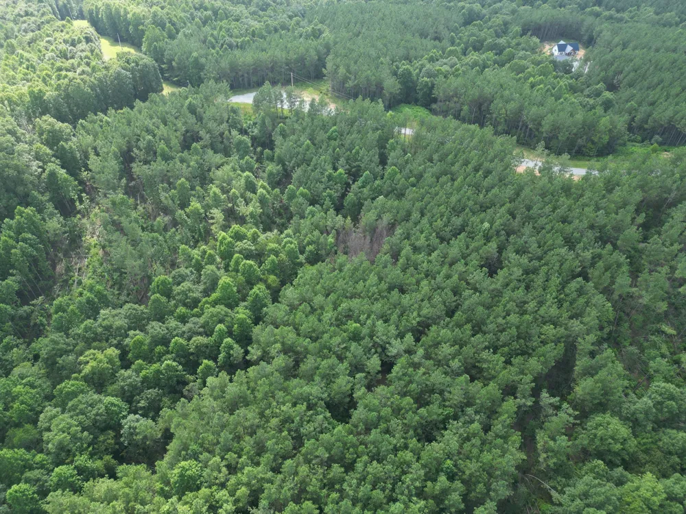 153 Beach Rd Hohenwald, TN 38462