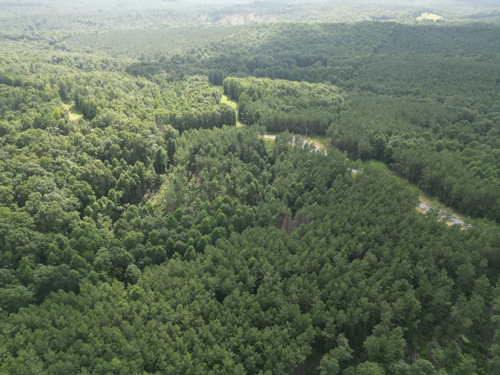 153 Beach Rd Hohenwald, TN 38462