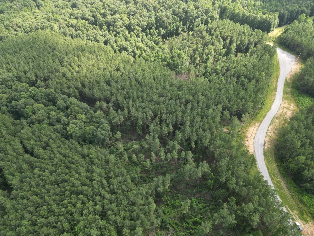 153 Beach Rd Hohenwald, TN 38462