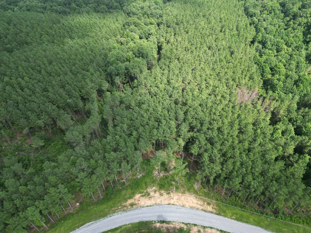 153 Beach Rd Hohenwald, TN 38462